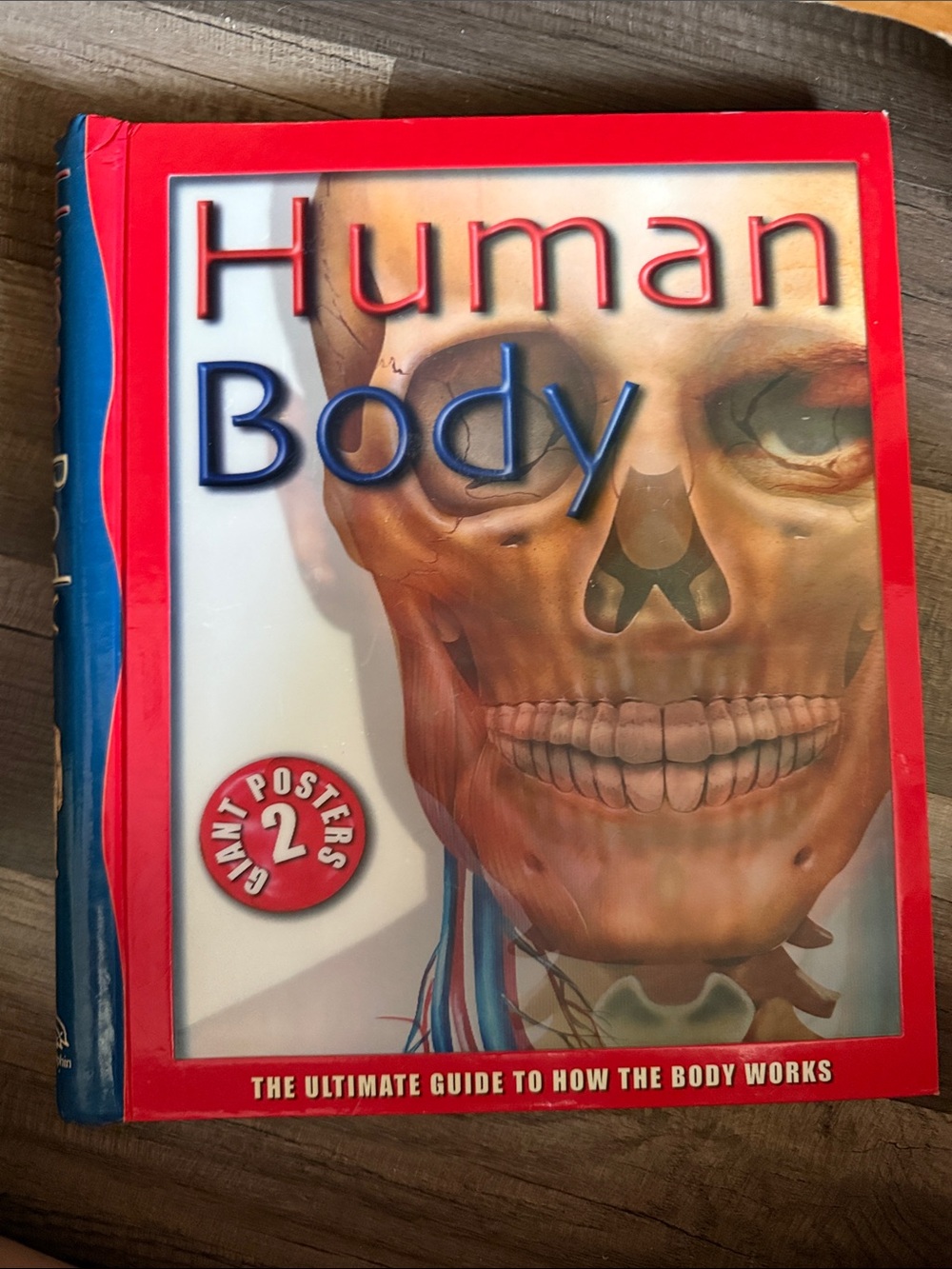 Human Body Learning Book for Kids - Red and Blue